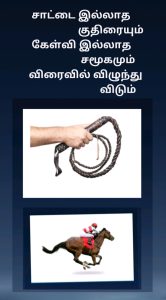 saatai kuthirai
